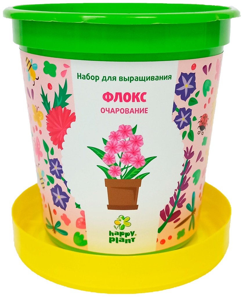Выращивание растений Happy Plant Флокс очарование hpn-29