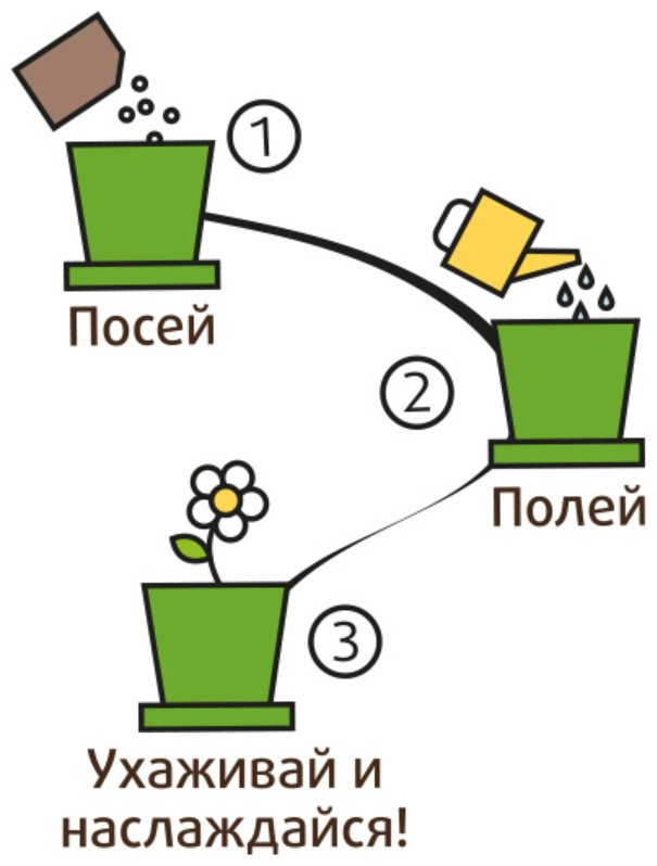 Выращивание растений Happy Plant Флокс очарование hpn-29