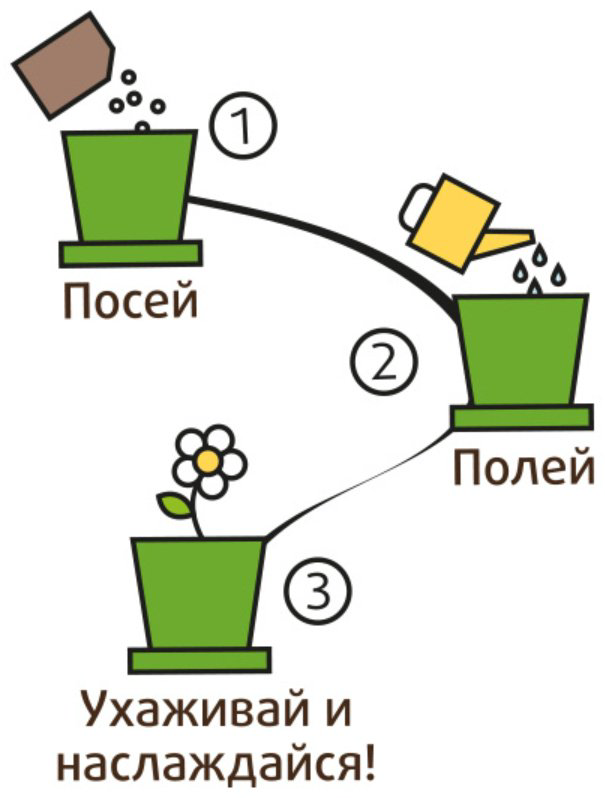 Выращивание растений Happy Plant Флокс очарование hpn-29 купить,NaN
