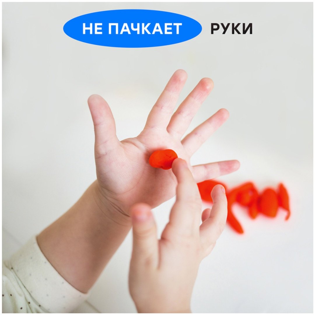 281036 количество цветов: 24 купить,0