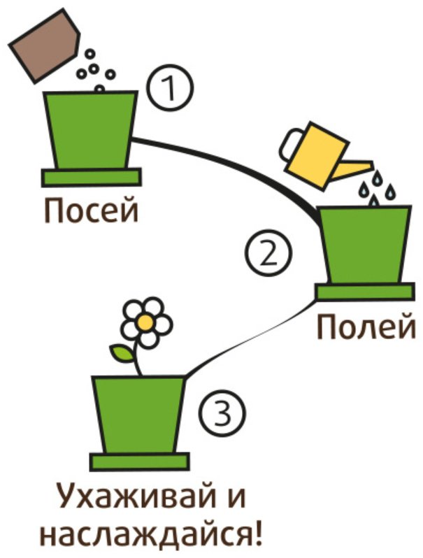 Выращивание растений Happy Plant Анютины глазки hpn-9