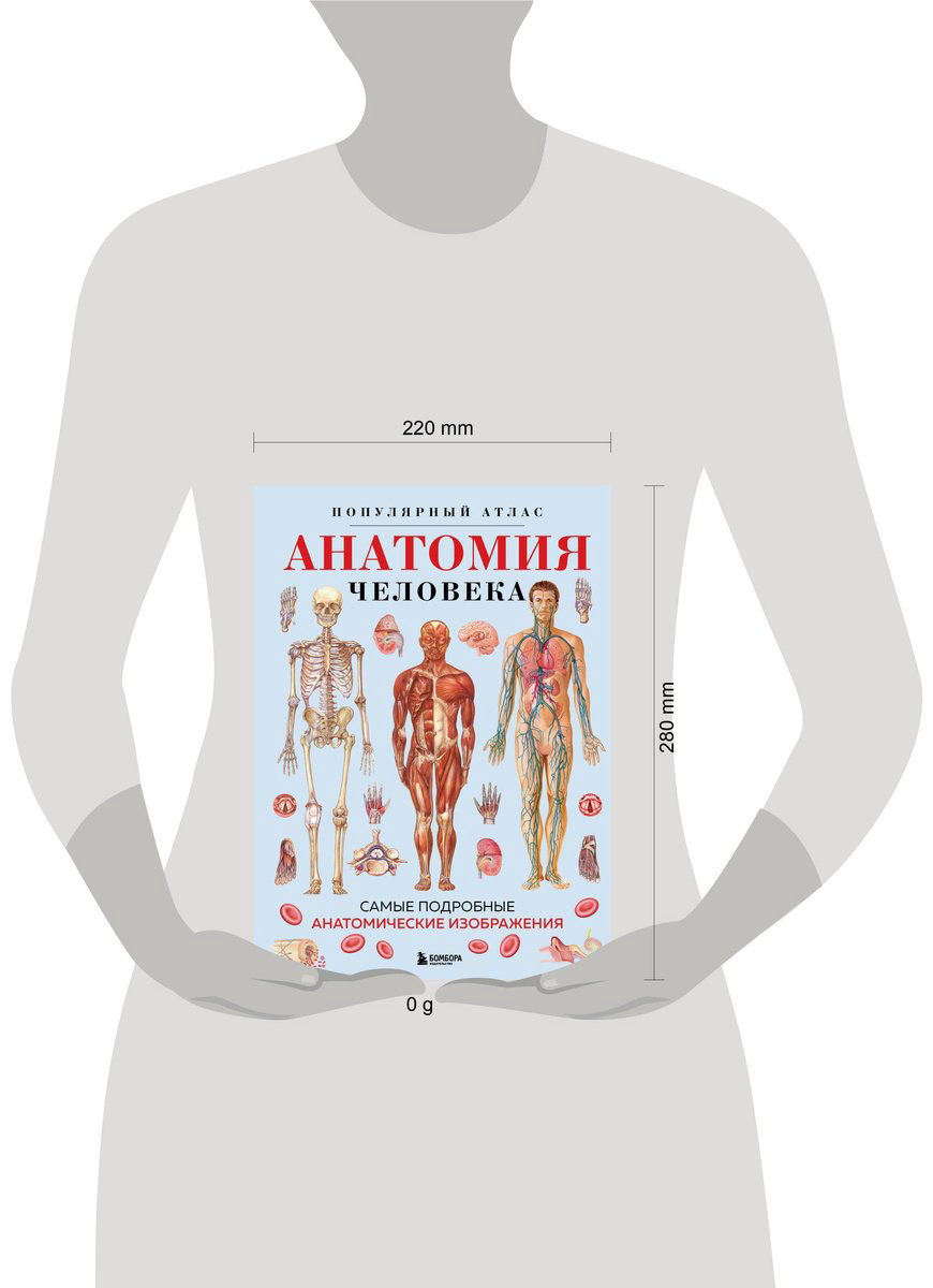 Книга Без автора: Анатомия человека.&nbsp;Популярный атлас. Самые подробные анатомические изображения купить,NaN
