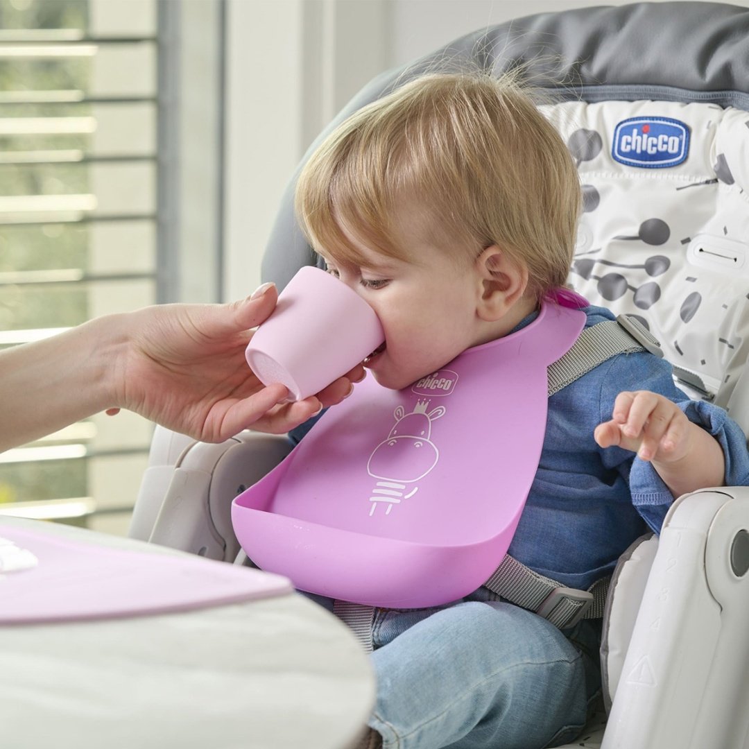 Нагрудник Chicco 00010219100000, мин. возраст 6 месяцев, 1 шт - ForteMarket Нагрудник Chicco 00010219100000, мин. возраст 6 месяцев, 1 шт купить,0