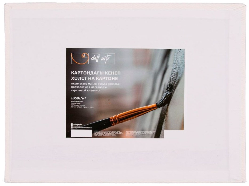 Dell Arte E5310F.4050 40х50 купить,NaN