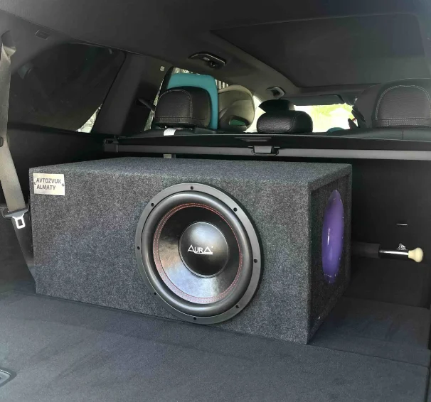 Сабвуфер AurA SW-B122XL + Aura VENOM D1500