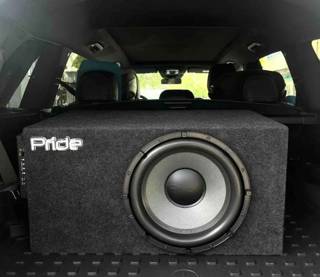 Сабвуфер PRIDE M9 15 в корпусе с усилителем Pride Uno XL купить,250000