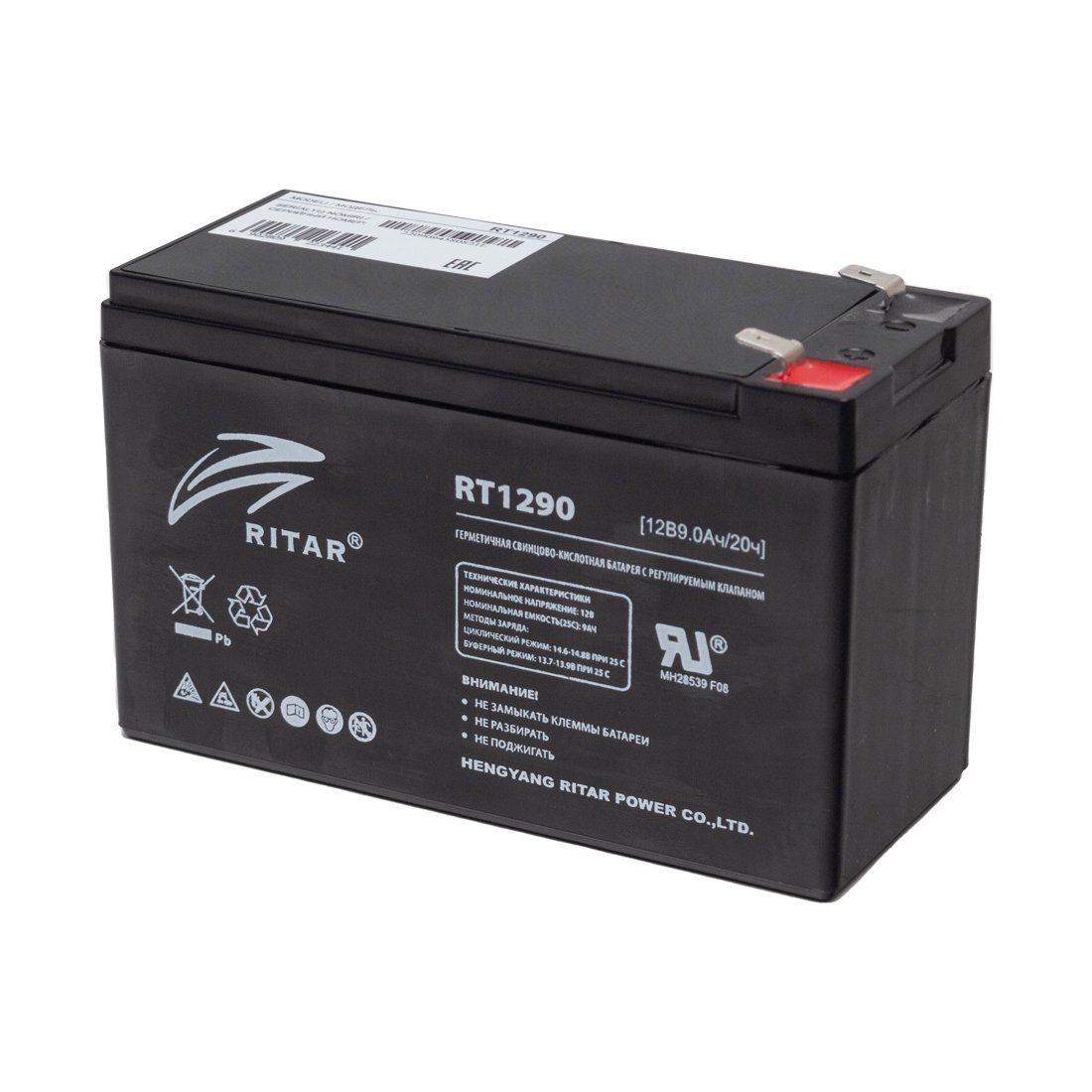 Аккумулятор Ritar Power RT1290 черный