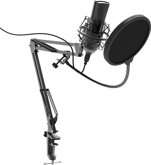 Микрофон Ritmix RDM-180 черный купить,NaN