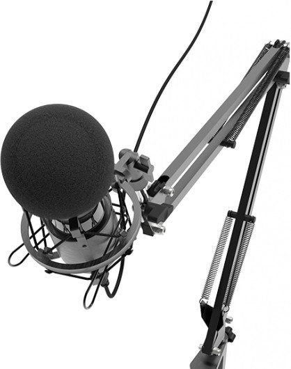 Микрофон Ritmix RDM-180 черный купить,NaN