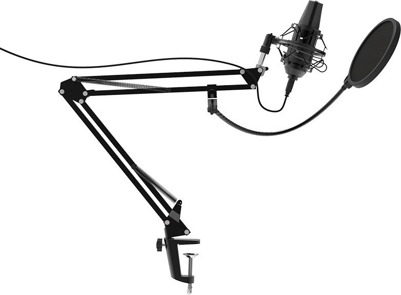 Микрофон Ritmix RDM-180 черный купить,NaN