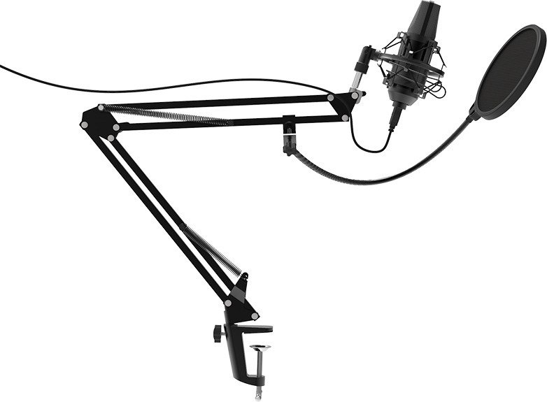 Микрофон Ritmix RDM-180 черный купить,NaN