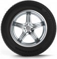 Шина BFGoodrich Activan 195/70 R15C 104/102R летняя купить,55250