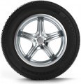 Шина BFGoodrich Activan 195/70 R15C 104/102R летняя купить,55250