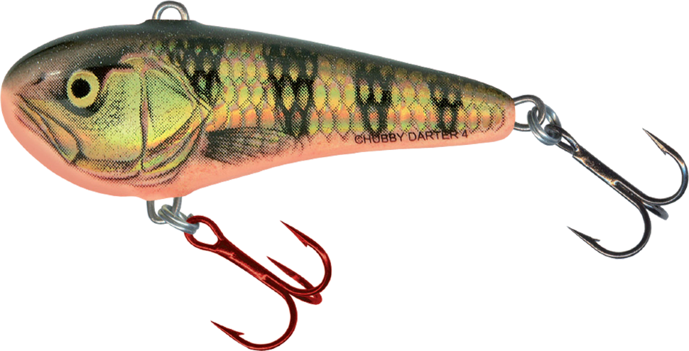 Воблер Norfin Salmo Chubby Darter темно-зеленый купить,NaN