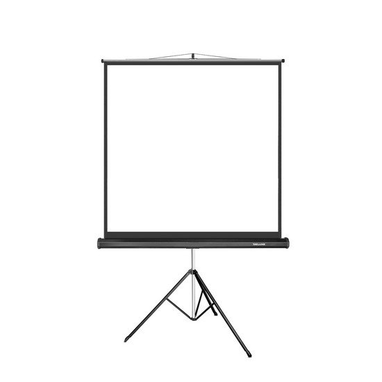 Экран на треноге Deluxe DLS-T153X 85'' черный