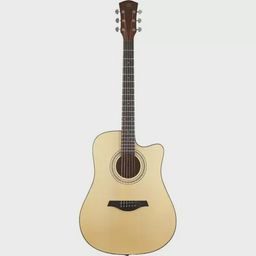 Акустическая гитара ROCKSTEL D5CN