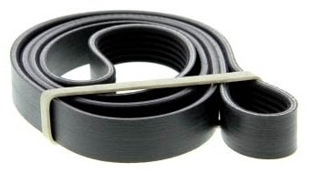 DAYCO ремень 6PK1692