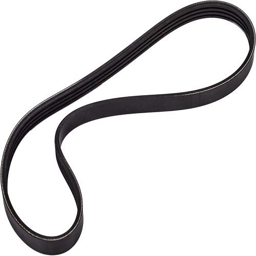 DAYCO ремень 8PK1920HD