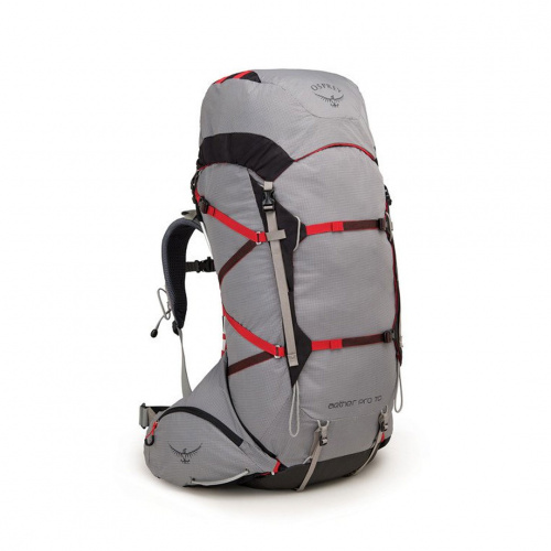 Рюкзак Osprey Aether Pro 70 10001377 LG серый купить,NaN