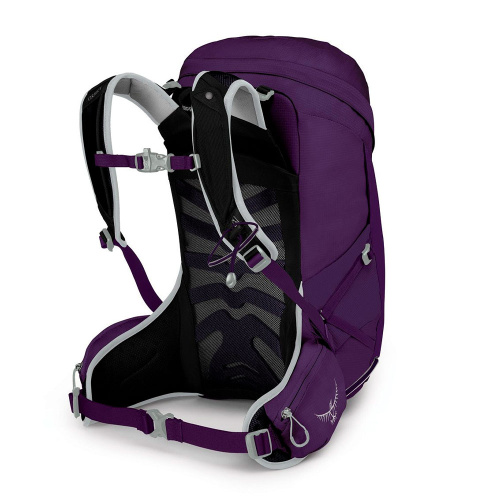 Рюкзак Osprey Tempest 24 10002739 WM/L фиолетовый купить,NaN