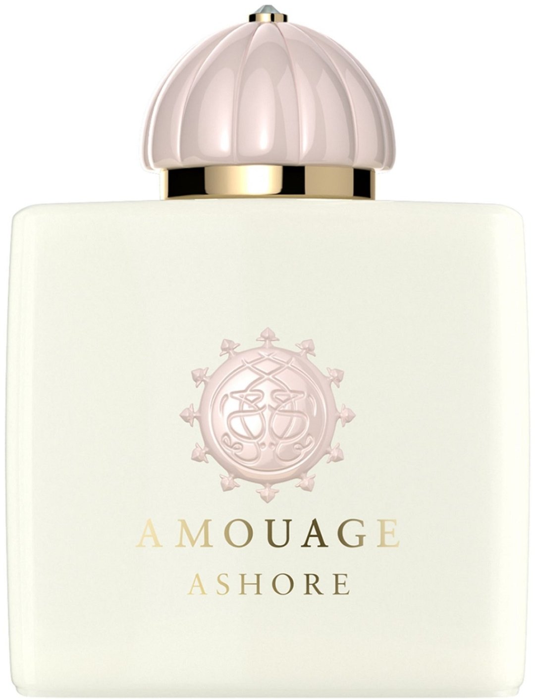 Amouage Ashore парфюмерная вода EDP 100 мл, унисекс купить,360000