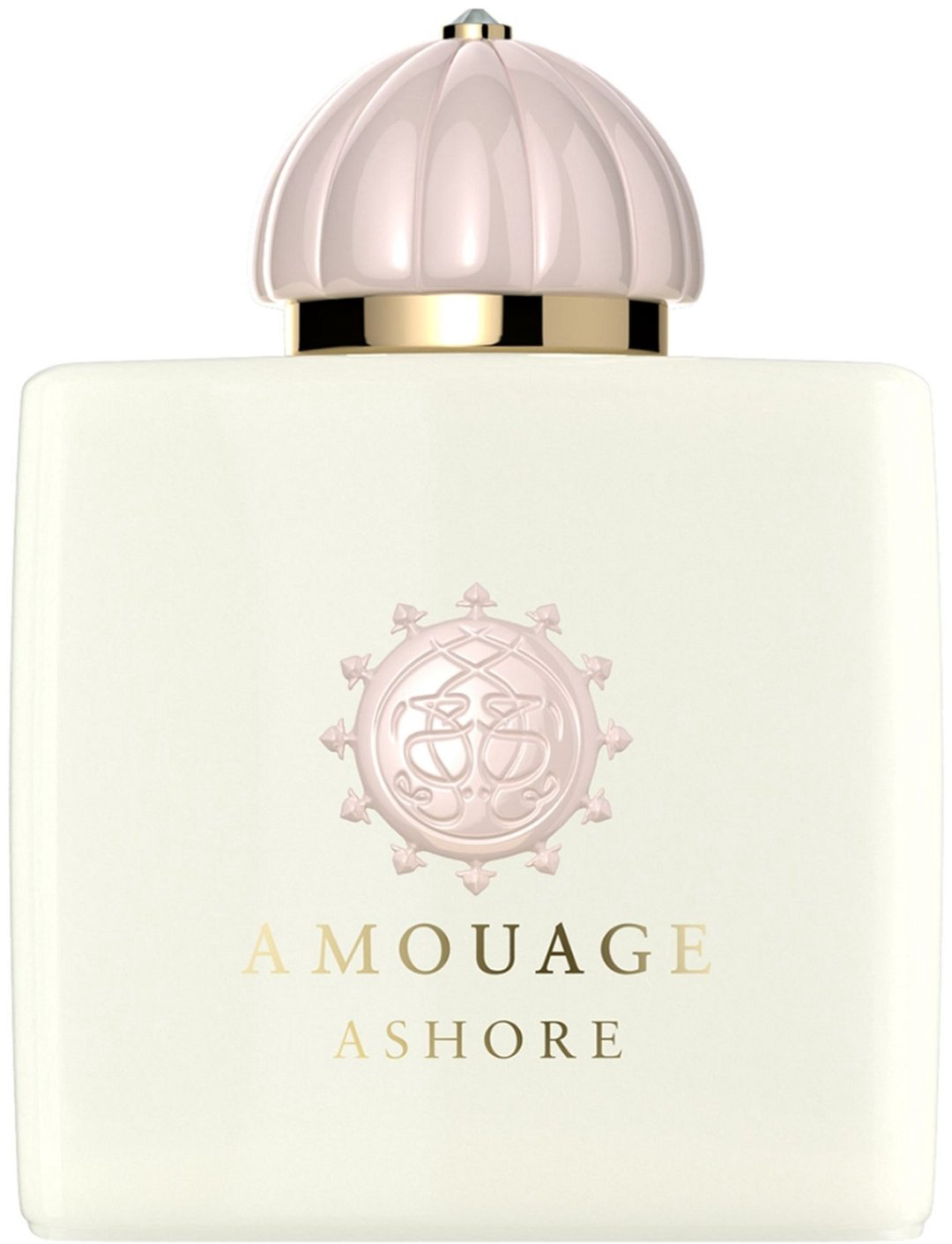 Amouage Ashore парфюмерная вода EDP 100 мл, унисекс купить,360000