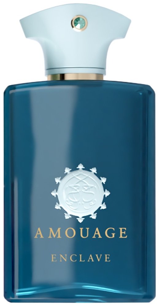 Amouage Enclave парфюмерная вода EDP 100 мл, унисекс купить,381150