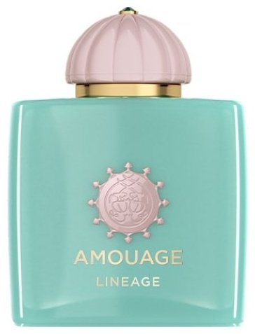 Amouage Lineage парфюмерная вода EDP 100 мл, унисекс - ForteMarket Amouage Lineage парфюмерная вода EDP 100 мл, унисекс купить,388860
