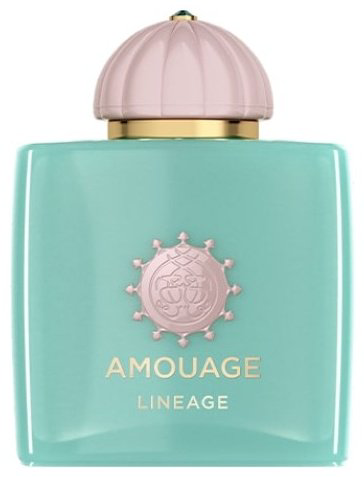 Amouage Lineage парфюмерная вода EDP 100 мл, унисекс - ForteMarket Amouage Lineage парфюмерная вода EDP 100 мл, унисекс купить,388860