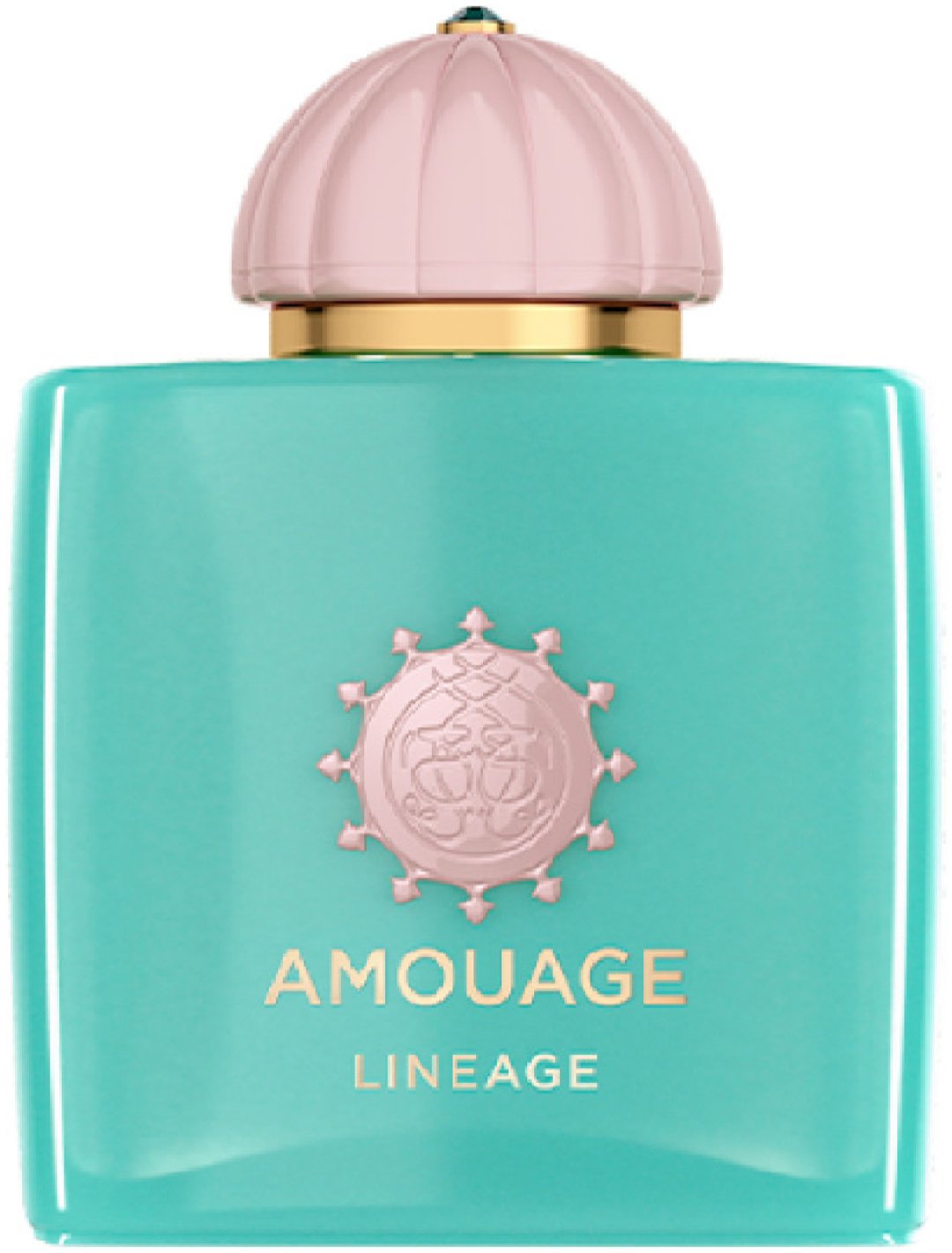 Amouage Lineage парфюмерная вода EDP 100 мл, унисекс купить,388860