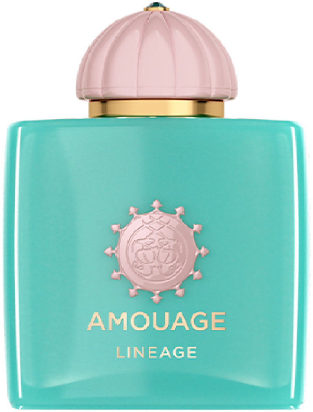 Amouage Lineage парфюмерная вода EDP 100 мл, унисекс купить,388860