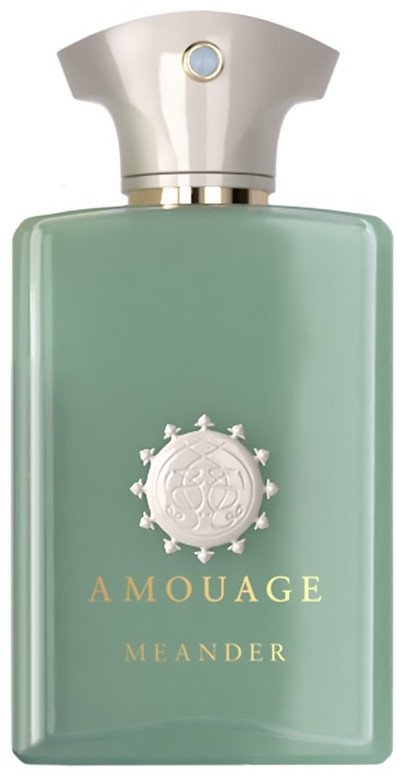 Amouage Meander парфюмерная вода EDP 100 мл, унисекс купить,354000