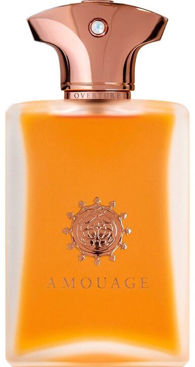 Amouage Overture парфюмерная вода EDP 100 мл, для мужчин купить,374720