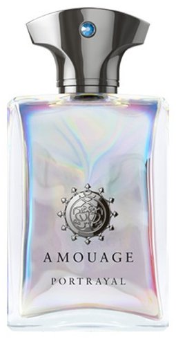 Amouage Portrayal парфюмерная вода EDP 100 мл, для мужчин