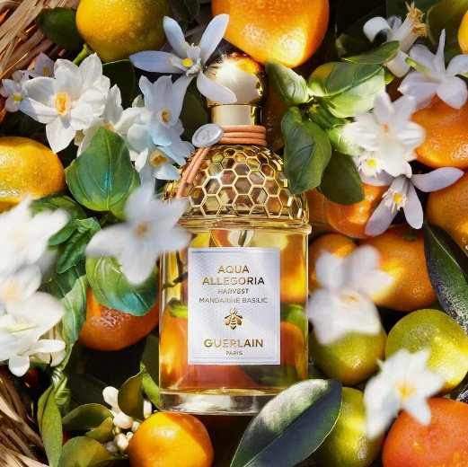 Guerlain Aqua Allegoria Harvest Mandarine Basilic туалетная вода EDT 125 мл, унисекс купить,77700
