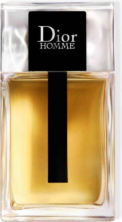 Dior Homme туалетная вода EDT 100 мл, для мужчин