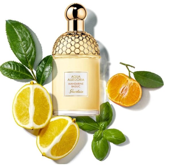 Guerlain Aqua Allegoria Mandarine Basilic туалетная вода EDT 75 мл, для женщин купить,39890