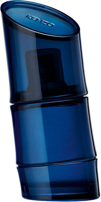 KENZO Homme Intense туалетная вода EDT 40 мл, для мужчин купить,33290
