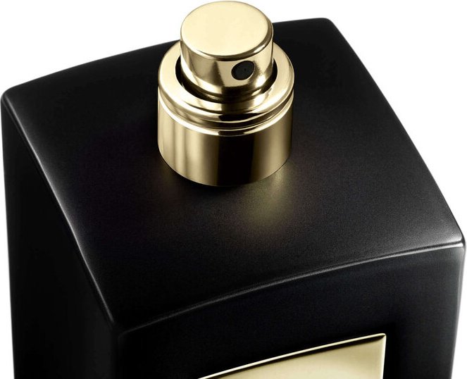 Giorgio Armani Bois d'Encens парфюмерная вода EDP 100 мл, унисекс - ForteMarket Giorgio Armani Bois d'Encens парфюмерная вода EDP 100 мл, унисекс купить,259890