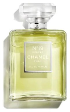 CHANEL №19 Poudre парфюмерная вода EDP 100 мл, для женщин - ForteMarket CHANEL №19 Poudre парфюмерная вода EDP 100 мл, для женщин купить,151000