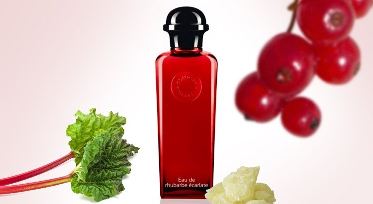 Hermes Eau de Rhubarbe Ecarlate одеколон EDC 50 мл, унисекс купить,77820