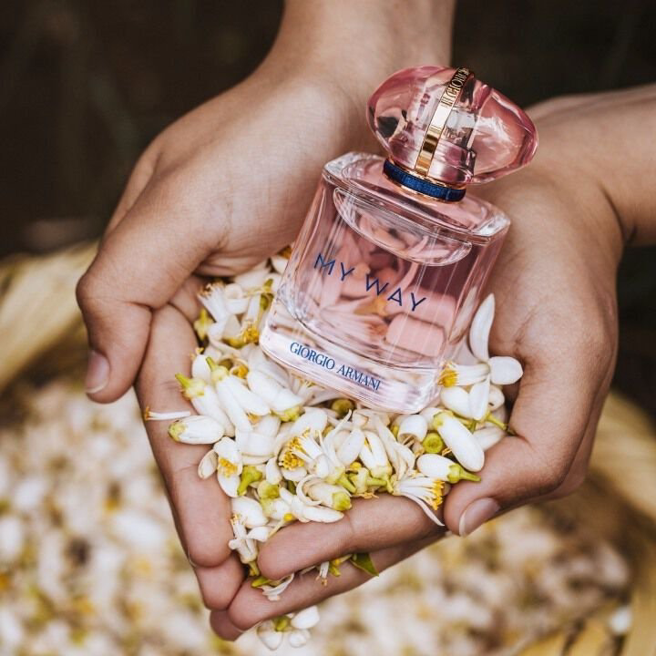 Giorgio Armani My Way Nectar парфюмерная вода EDP 50 мл, для женщин - ForteMarket Giorgio Armani My Way Nectar парфюмерная вода EDP 50 мл, для женщин купить,67390