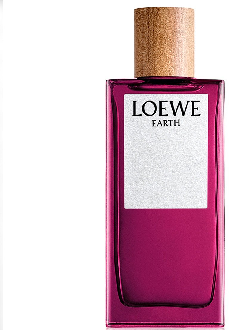 Loewe Earth парфюмерная вода EDP 100 мл, унисекс купить,119090