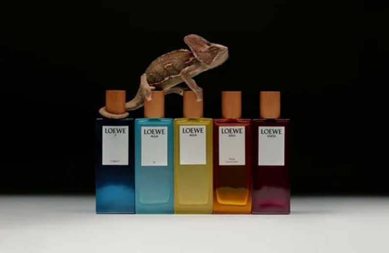 Loewe Earth парфюмерная вода EDP 50 мл, унисекс купить,81810