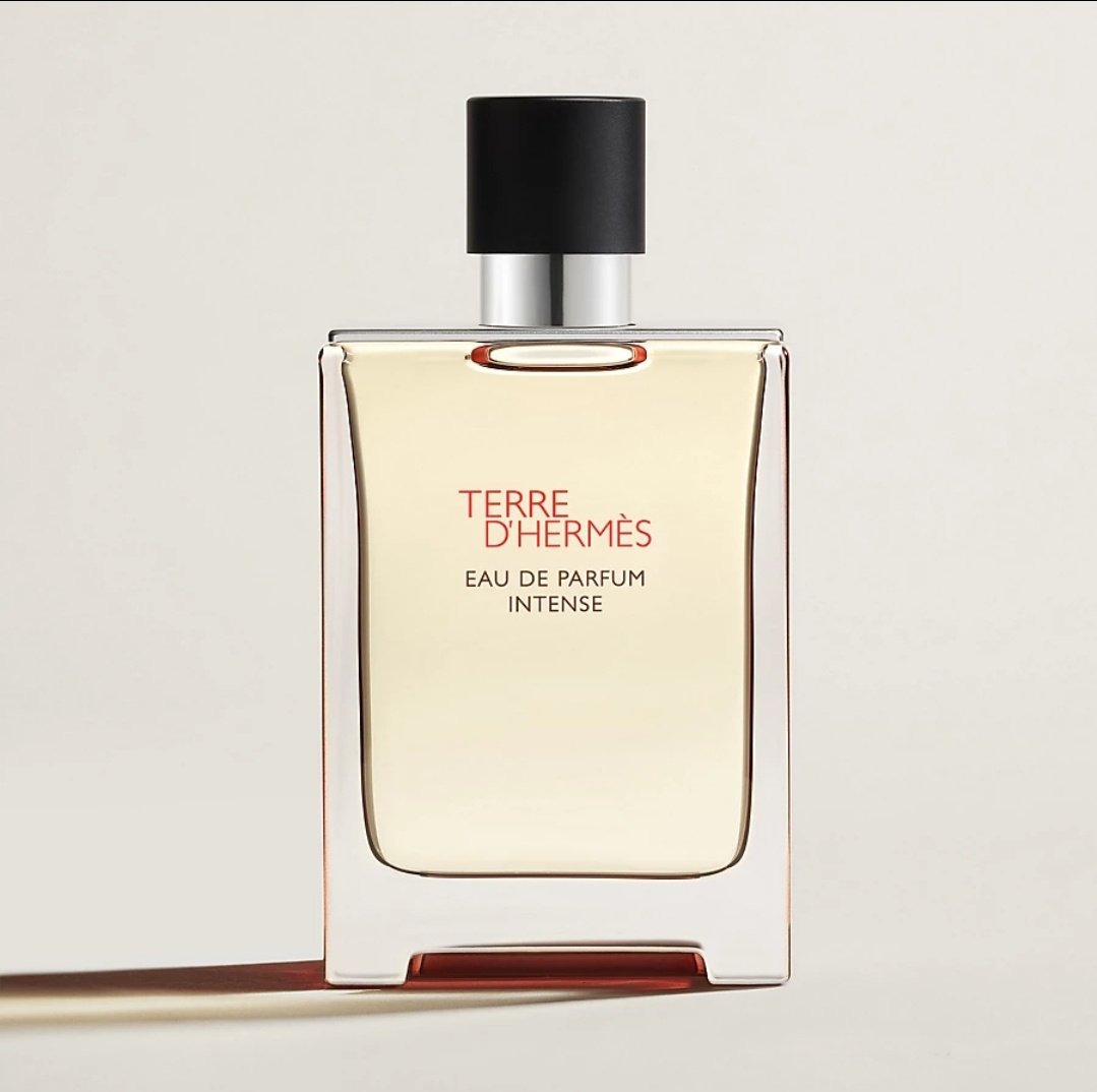 Hermes Terre D&#39;Hermes Intense парфюмерная вода EDP 50 мл, для мужчин