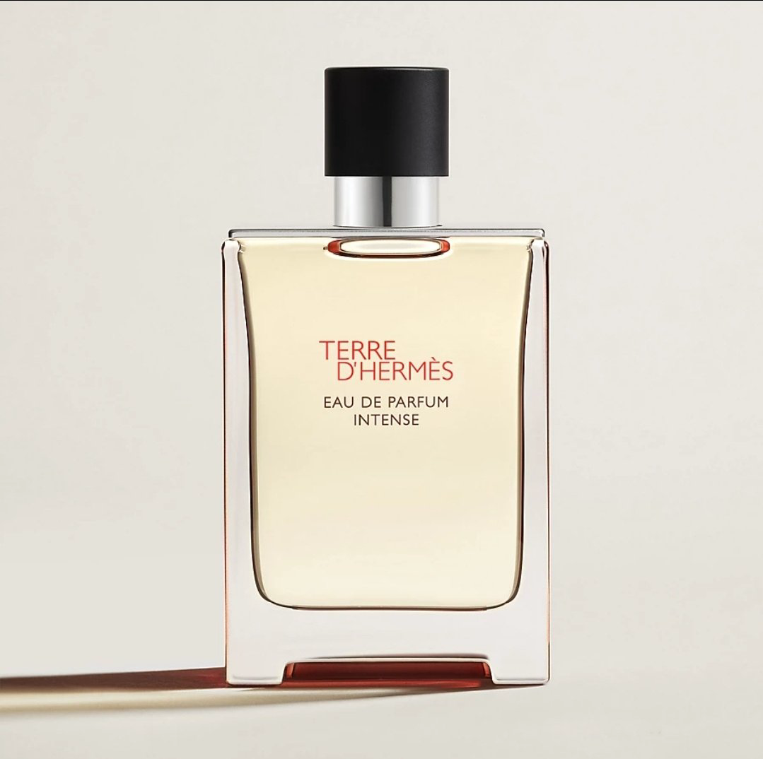 Hermes Terre D'Hermes Intense парфюмерная вода EDP 50 мл, для мужчин - ForteMarket Hermes Terre D'Hermes Intense парфюмерная вода EDP 50 мл, для мужчин купить,80890