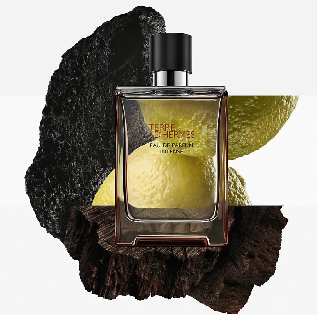 Hermes Terre D'Hermes Intense парфюмерная вода EDP 50 мл, для мужчин - ForteMarket Hermes Terre D'Hermes Intense парфюмерная вода EDP 50 мл, для мужчин купить,80890