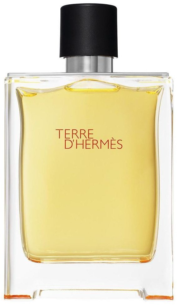 Hermes Terre D'Hermes туалетная вода EDT 100 мл, для мужчин - ForteMarket Hermes Terre D'Hermes туалетная вода EDT 100 мл, для мужчин купить,43890