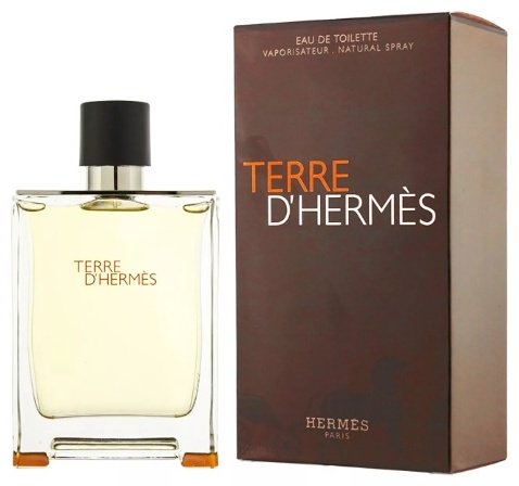 Hermes Terre D'Hermes туалетная вода EDT 100 мл, для мужчин - ForteMarket Hermes Terre D'Hermes туалетная вода EDT 100 мл, для мужчин купить,43890