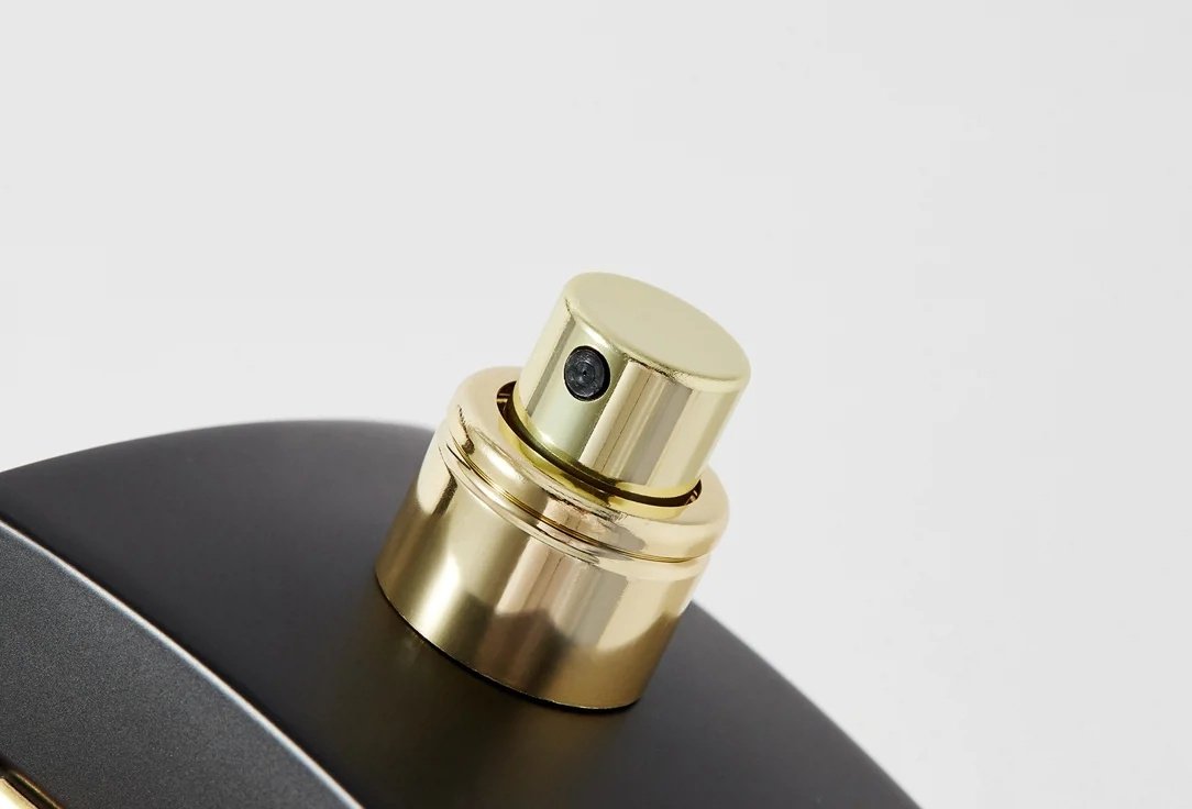 Giorgio Armani Sable Nuit парфюмерная вода EDP 100 мл, унисекс купить,205090
